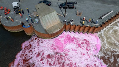 Pink dye is released into Tufts Cove along Halifax Harbour in Nova Scotia, Aug. 10, 2023.